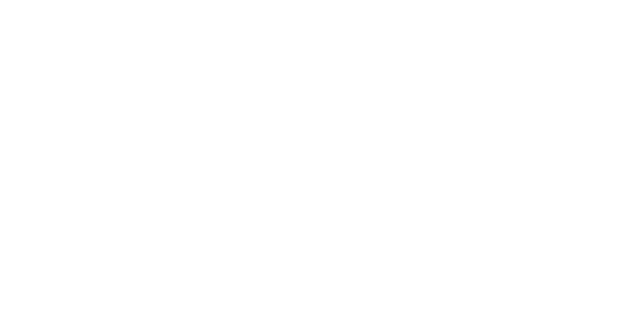 Logo fronius